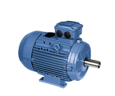 節(jié)能電機(jī)及系統(tǒng)節(jié)能技術(shù)講座暨電機(jī)電器產(chǎn)業(yè)發(fā)展論壇舉行