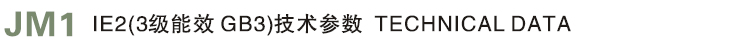 金龍高效電機(jī)參數(shù)